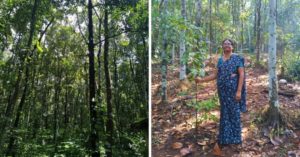Woman Spends 28 Years Creating A Lush Forest That Solved Her Village's Water Woes!