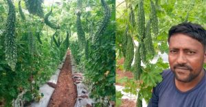 Once Rejected For a Job When he Didn't pay Bribe, Farmer Now Earns in Lakhs/Month
