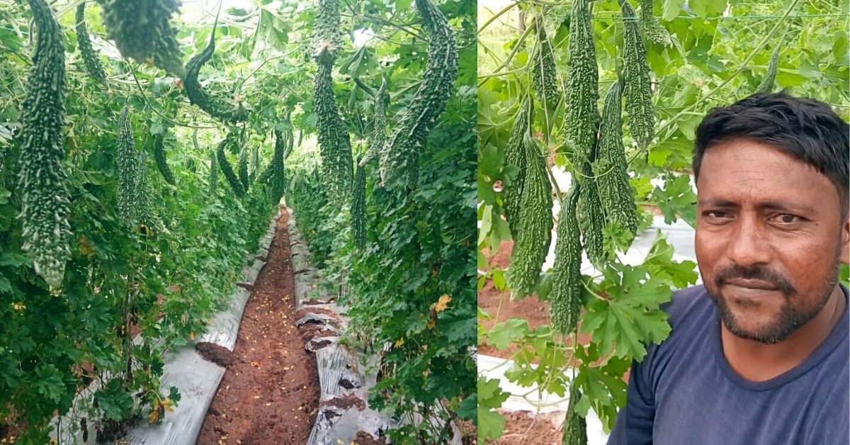 Once Rejected For a Job When he Didn’t pay Bribe, Farmer Now Earns in Lakhs/Month