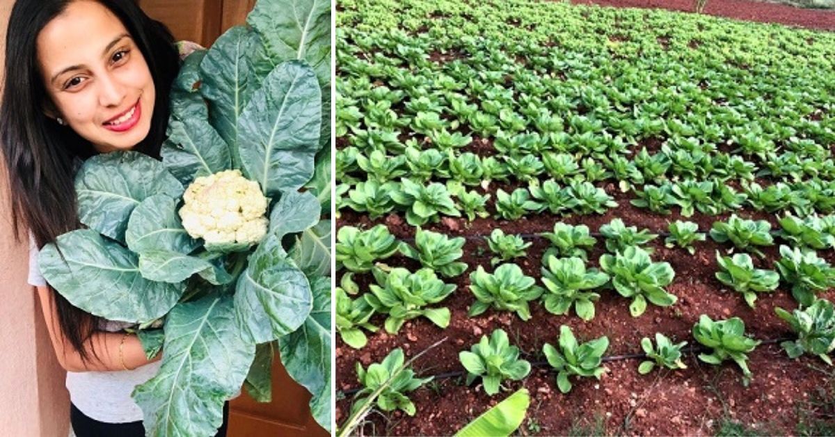 Mysuru Woman Grows 100+ Crops Using Different Organic Fertilisers, Earns Lakhs