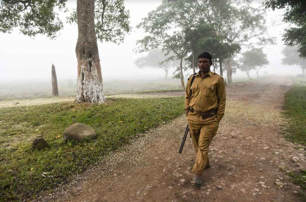 Forest Guard