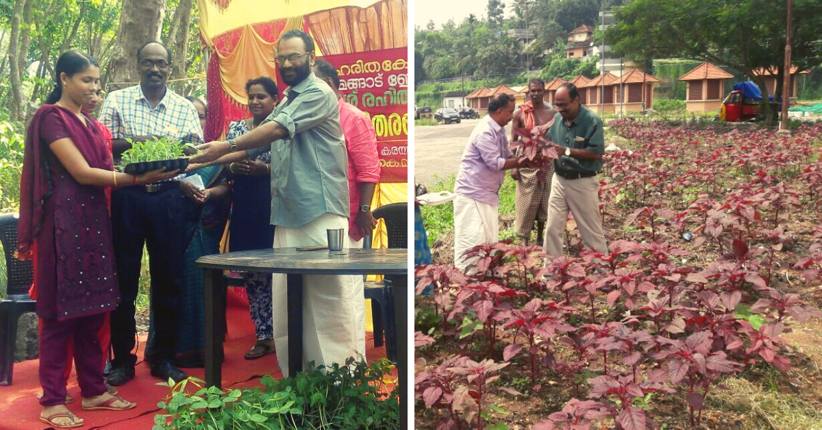 In 4 Years, Kerala Village Turns 100 Acres of Barren Land into Lush Organic Farm