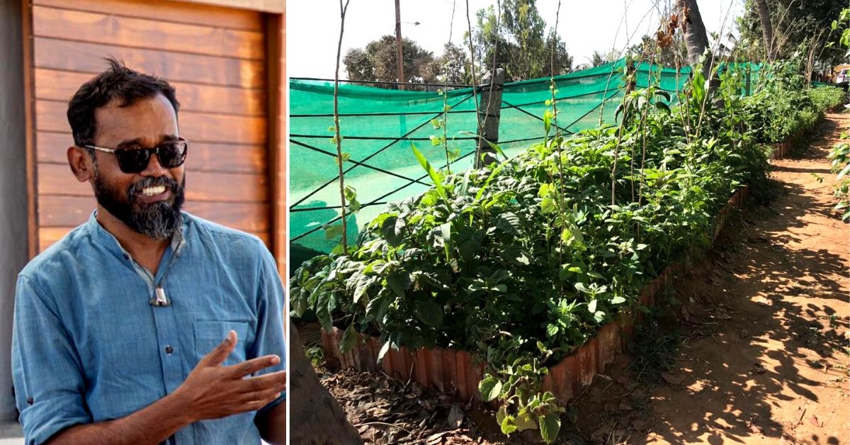 This Bengaluru Man Will Convince You to Grow And Eat Weeds, And They Are Delicious!