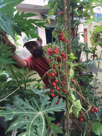 This Bengaluru Man Will Convince You to Grow And Eat Weeds, And They Are Delicious!