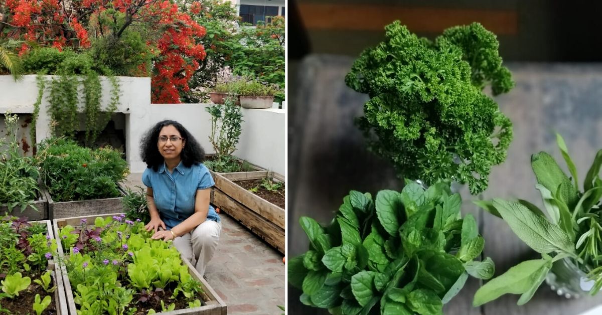 Delhi Architect Shares Secrets To Create A Chutney Garden In Three Steps