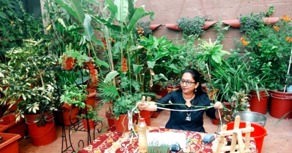 Bengaluru Designer Shares 20 Foolproof Tips to Grow the Perfect Terrace Garden