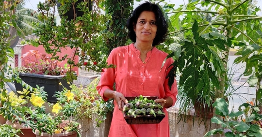 Pune Woman Grows Fruits, Veggies & Sugarcane in Terrace Garden, Without Any Soil