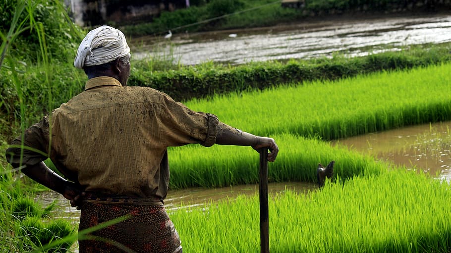 Agriculture