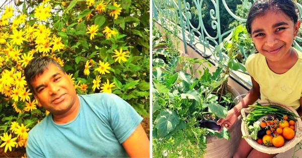 Scientist Shares How to Grow 5 Vegetables in a Single Pot & Save 90% Water