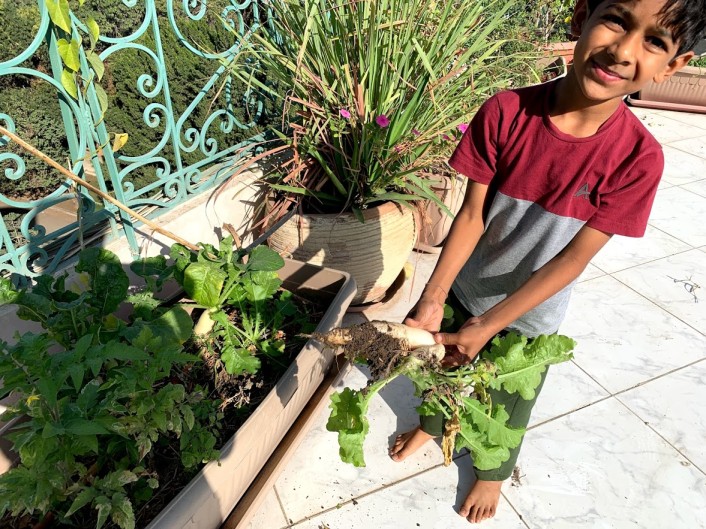 rooftop gardening