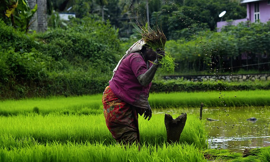 Agriculture