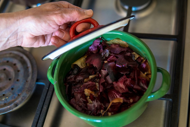 onion peels fertilisers