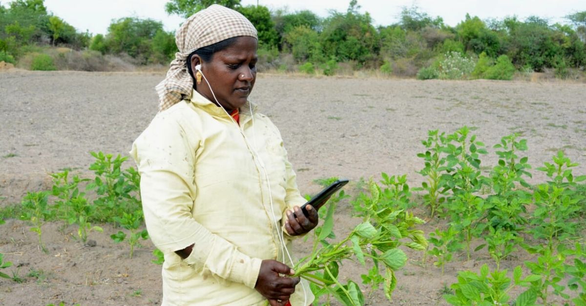 These e-Plant Doctors Can Help Solve Farmers’ Crop Woes in Minutes. Here’s How.