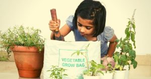 5 Online Places to Buy Quality Organic Seeds For Your Home Garden