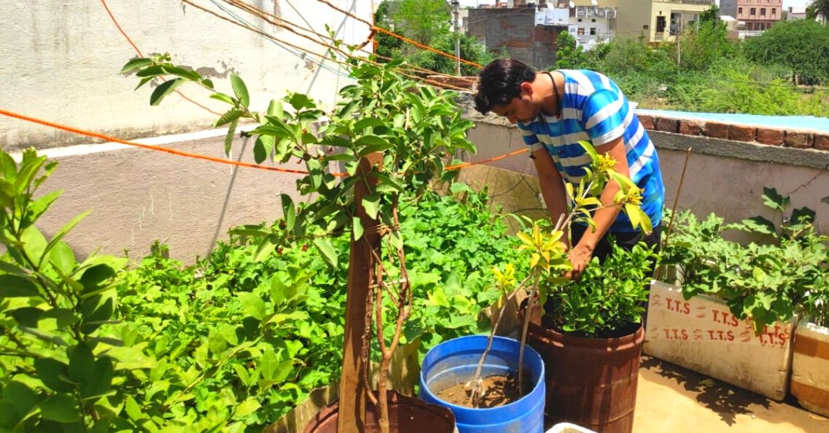 Zero Budget Terrace Garden, How To Start Terrace Gardening India