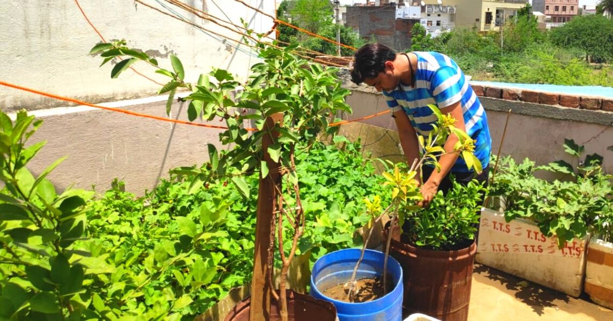 Rajasthan Man’s Zero-Budget Terrace Garden Helps Him Save Rs 4,000/Month!