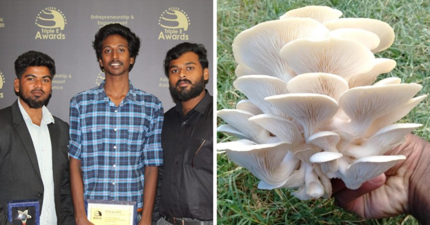 Students Earn Rs 76000/Month By Growing Mushrooms in a Tiny Single Room!