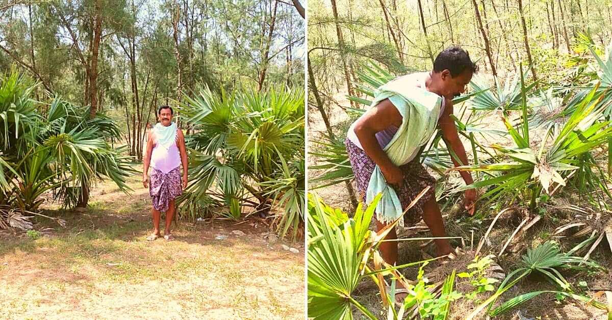 After Odisha Cyclone, Retired Jawan Spends Pension Money to Plant 50,000 Saplings