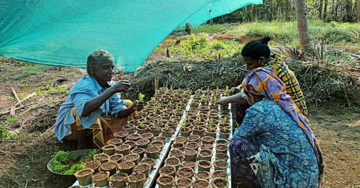 Kerala IFS Uses Coir To Prevent 90 Lakh Plastic Bags From Reaching Landfills!