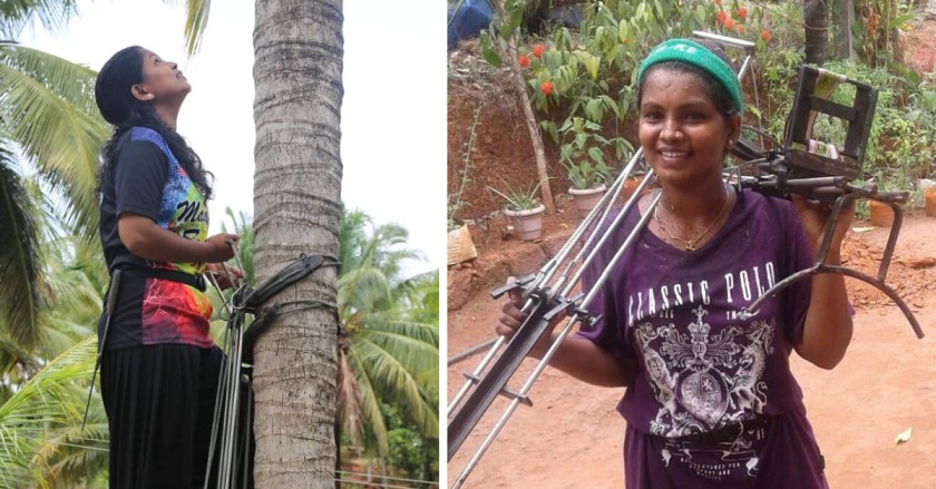 Smashing Gender Norms, Kerala Woman Climbs Coconut Trees to Support Her Family