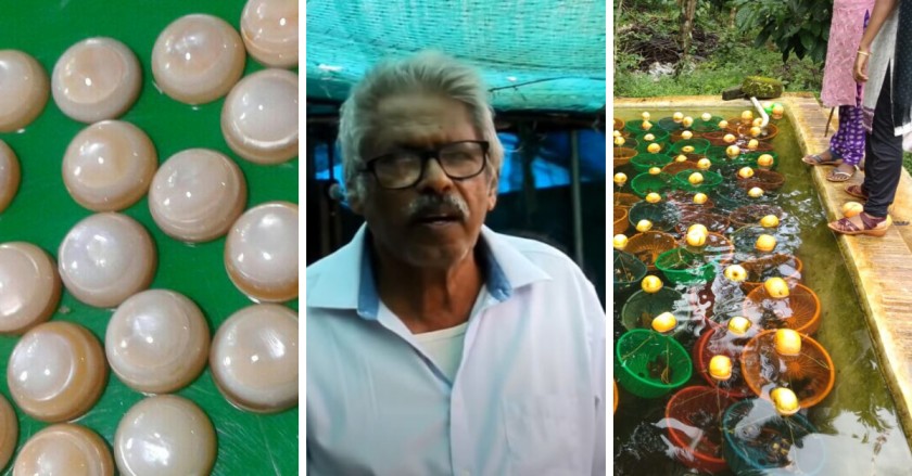 Kerala Farmer Grew Pearls In Buckets. Today, He Earns Lakhs From His Backyard!