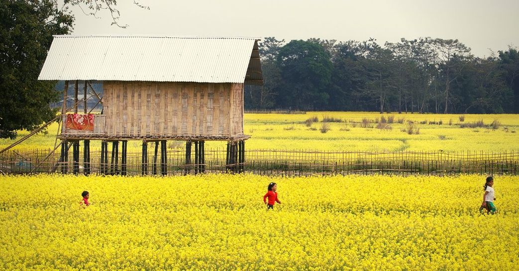 Assam Floods: Unique Bamboo Houses Help a Village Survive 7 Floods in 3 Years