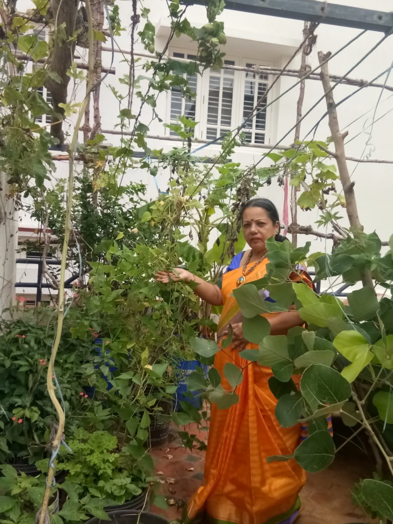 small terrace garden ideas india on Terrace Gardening Bengaluru Lady Grows Alphonso Mangoes Coffee