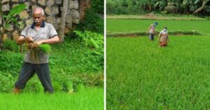 Kerala Family Grows Their Own Rice & Veggies, Have Not Bought Any in 12 Years