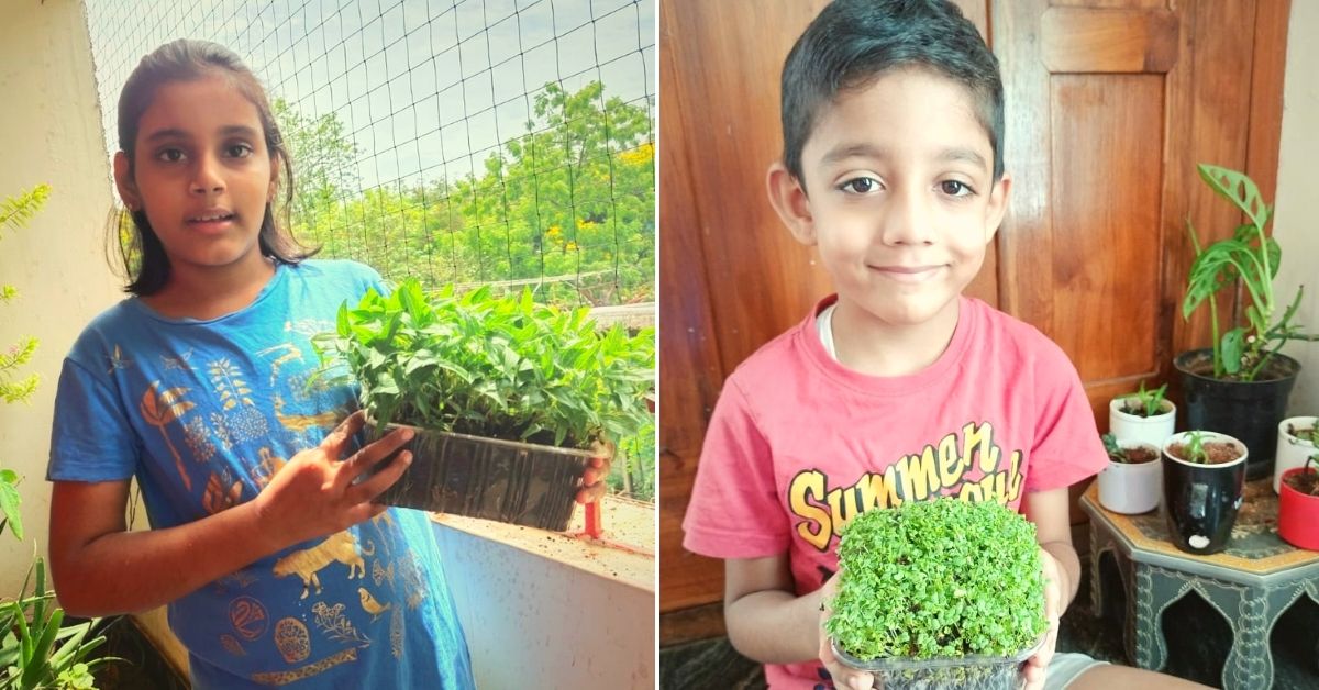 Over 2000 Children Turn into Microgreens Farmers During the COVID-19 Lockdown