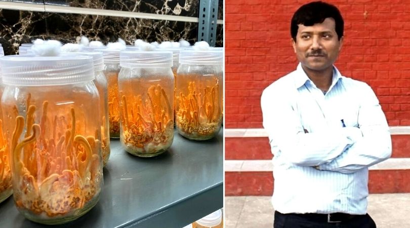 Assam Scientist Shares How To Grow Super Mushrooms Worth Over Rs 2 Lakh/Kg