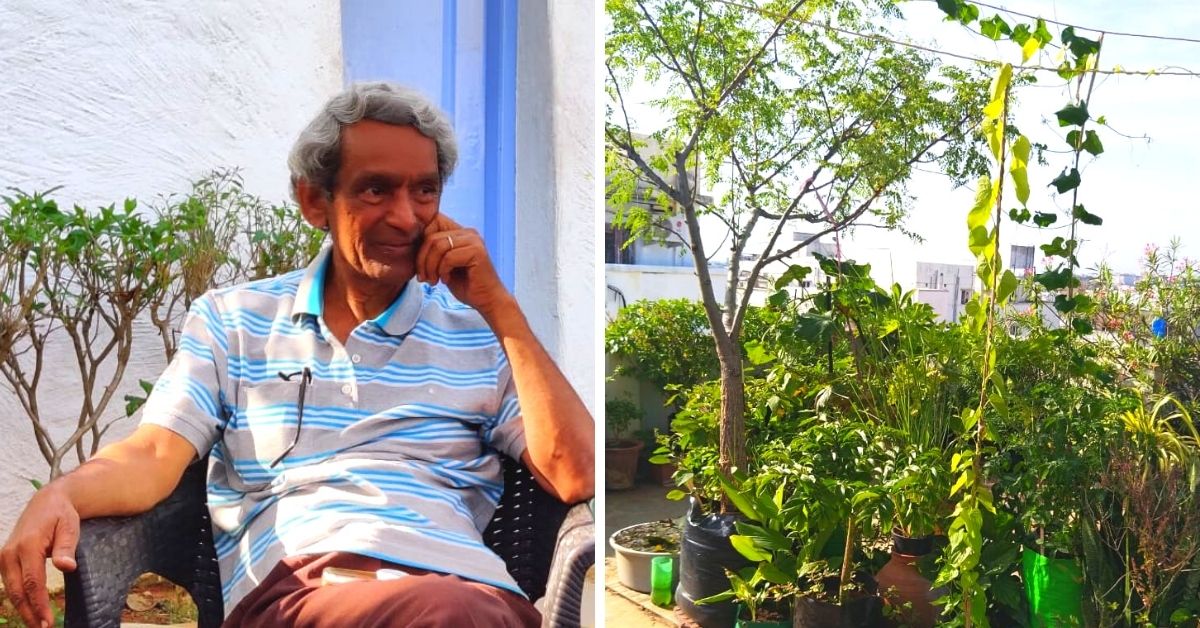 From Aerial Potatoes to Israel Oranges, Retired Teacher Grows 200 Plants On Terrace!
