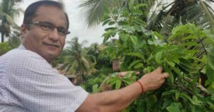 How I Grew a Fruit Forest on My Terrace in Goa's Hot Tropical Weather