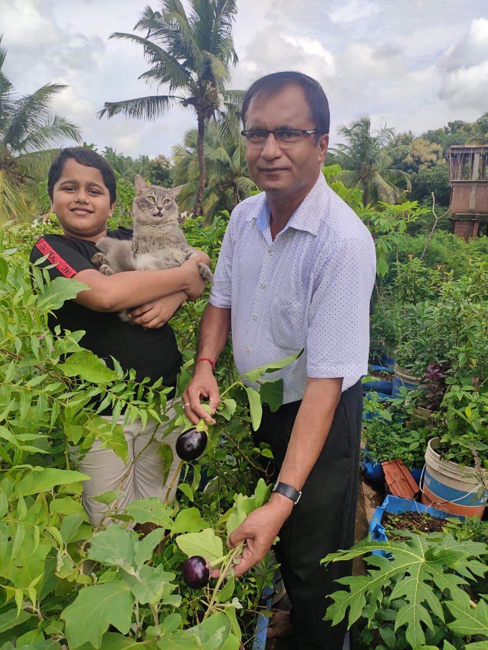 small terrace garden ideas india on How I Grew A Fruit Forest On My Terrace In Goa S Hot Tropical Weather