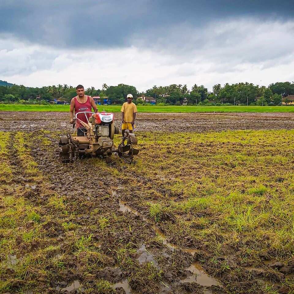 Farming