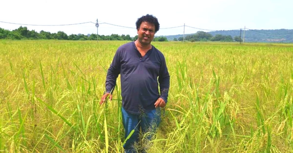 Ex-Engineer Brought Goan Village With 500 Families Back to Farming After 30 Years