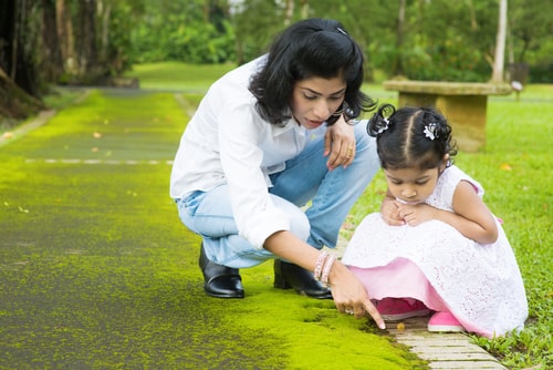 How to Help Your Whole Family Adopt a Sustainable Lifestyle