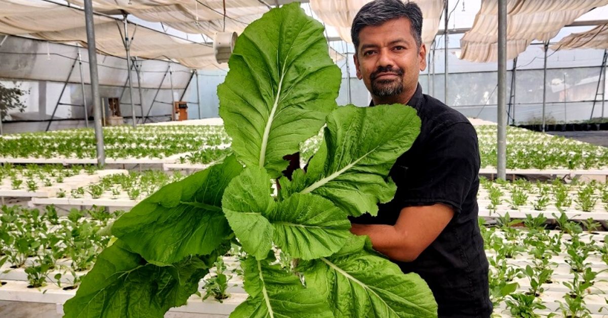 Man Quits Job to Start Gardening Business, Helps 5000 Setup Gardens