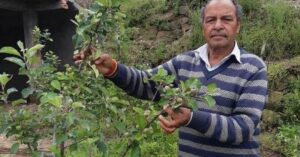 Himachal Farmer's National Award-Winning Apples Can Grow Anywhere in India