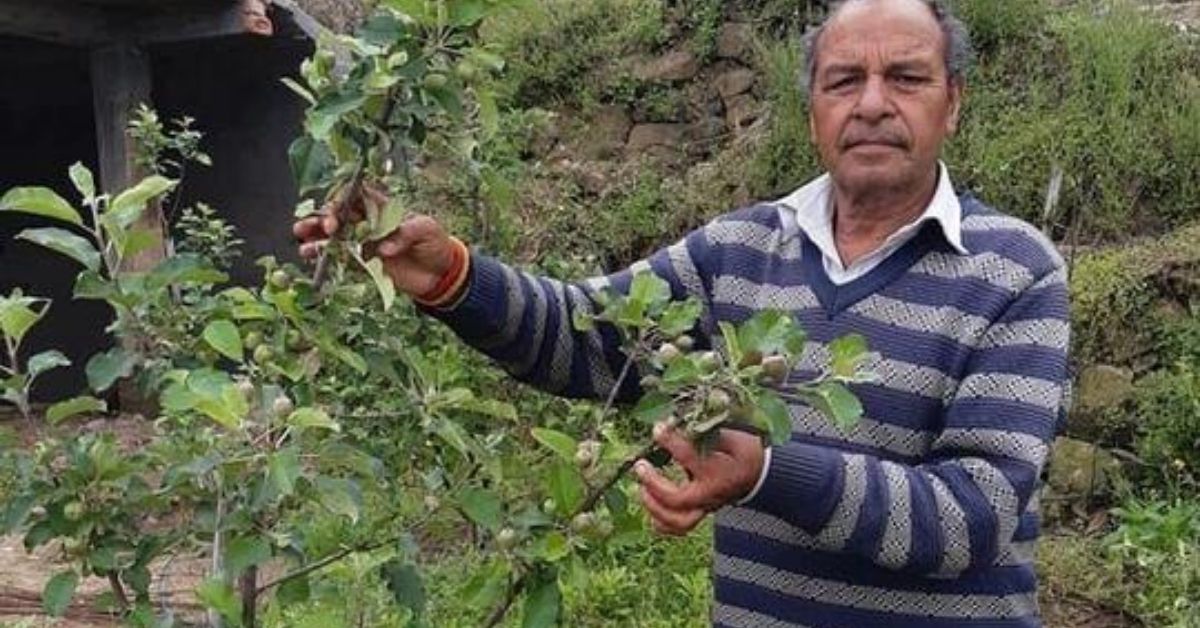 Himachal Farmer’s National Award-Winning Apples Can Grow Anywhere in India