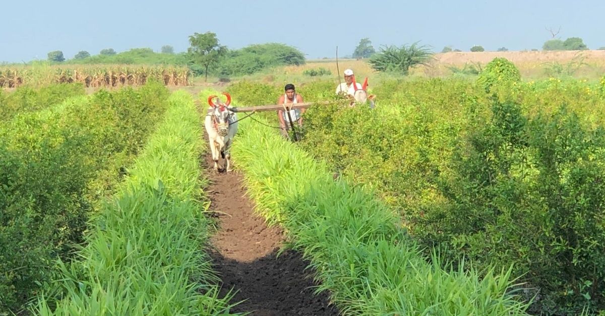 Mumbai Woman's Organic Food Delivery Has Helped 50,000 Farmers Bag Higher Profits