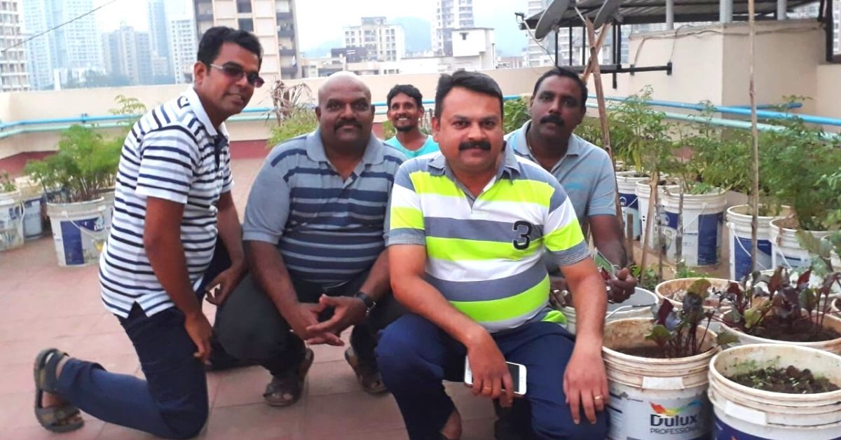 Thane Society Grows Organic Veggies on Terrace, Saves Lakhs Using Solar Power