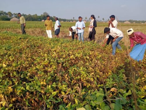 Hyderabad Techie Quits Job, Helps 400 Farmers Build Successful Organic Food Brand