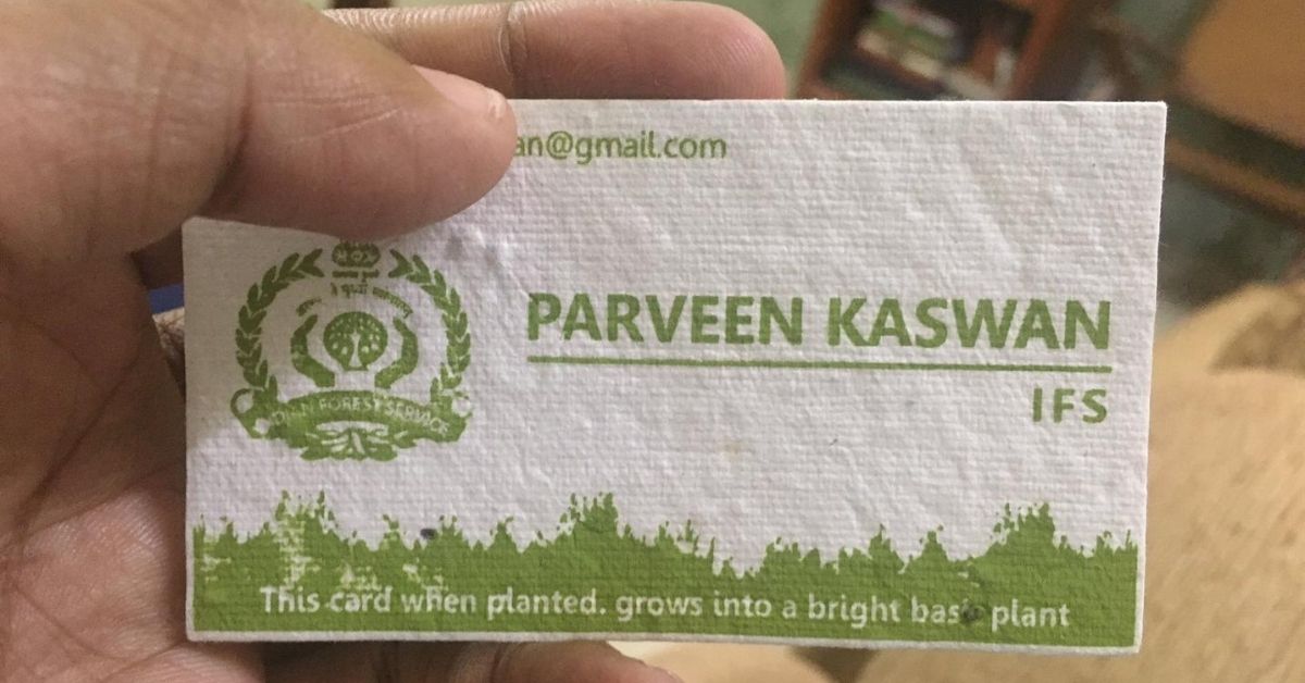 IFS Officer’s Plantable Visiting Cards Go Viral, Here’s How You Can Get Your Own