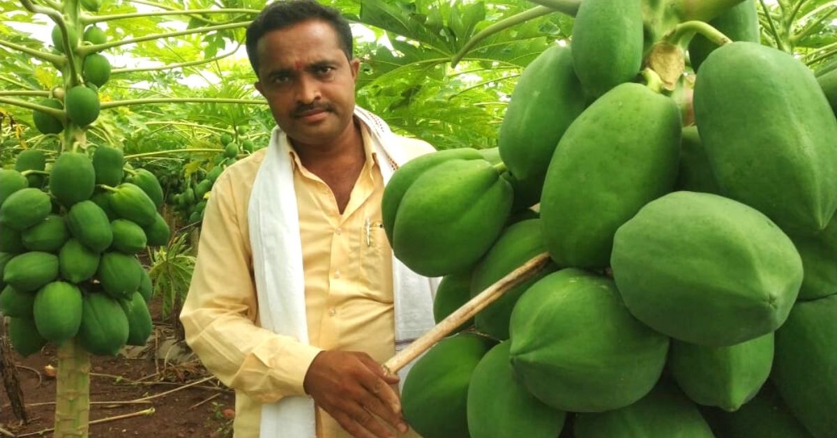 Organic Farmer Makes Lakhs Growing Fruit in Drought-Prone Beed, Inspires 50 Others