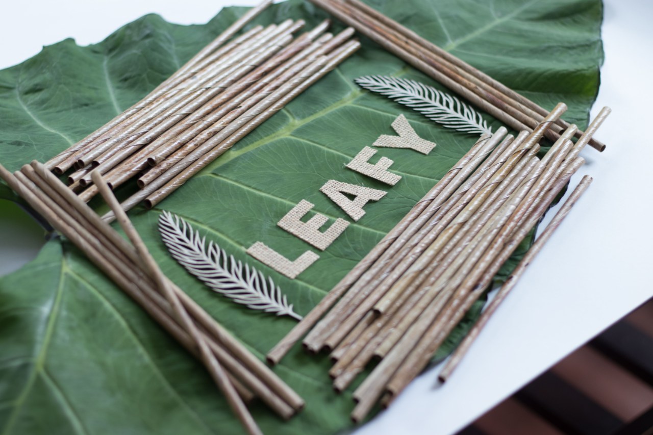 Bengaluru Startup is Making 10,000 Straws a Day, All From Fallen Coconut Leaves