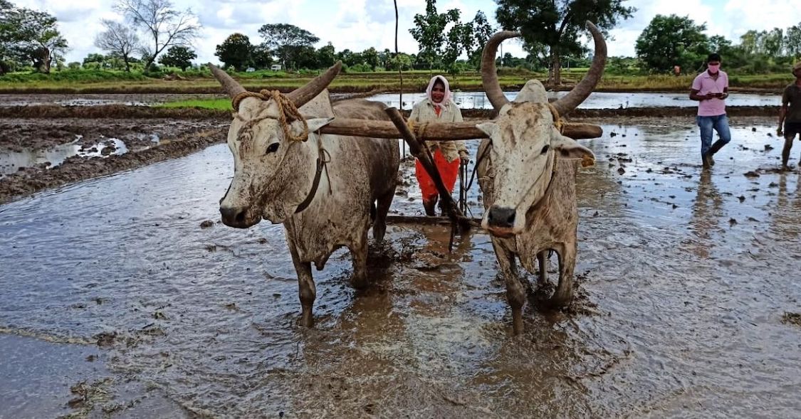 Govt Official Works as Farm Labourer on Weekends, Gives Earnings To the Needy