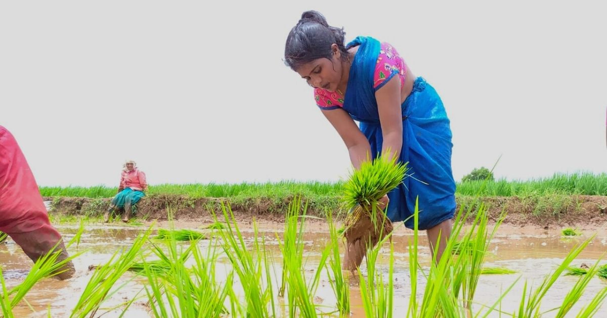 Govt Official Works as Farm Labourer on Weekends, Gives Earnings To the Needy