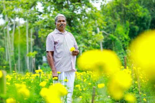 72-YO Kerala Man Grows Marigolds in City Plot During Lockdown