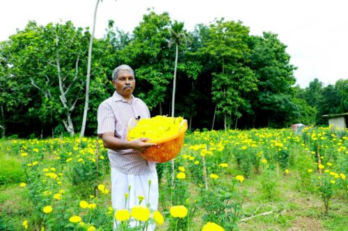 72-YO Kerala Man Grows Marigolds in City Plot During Lockdown