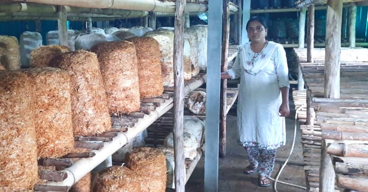 Gujarat Engineer Earns Rs 2 Lakh By Growing Mushrooms in Parking Shed. Here’s How